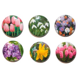 SIX Mini 'Spring Flower' Fridge Magnet Set (25mm) Made in UK by Button Zombie