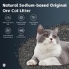 Natural Sodium-Based Raw Mineral Cat Litter | Dust-Free, Ultra Absorbent,