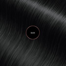 EVERPRO Gray Away Root Touchup Quick Stick, Black, 0.1 Oz