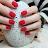 First Street Pulse Gel Red Source Color Gel Single Item