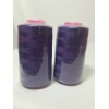 NICE FABRICS 2-Pack 6000 Yards Each Spool Serger Sewing T27