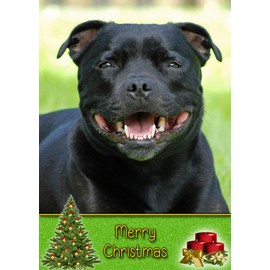 Staffie/Staffordshire Bull Terrier Dog Christmas Card 'Merry Christmas' - Special Animal Xmas Card for Him Her from Pets Kids