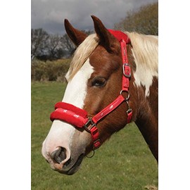 Rhinegold Logo Headcollar Fleece Trim - Shetland - red
