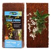 Fernwood Tree Fern Orchid Mounting Board- Soft, Durable, and Fibrous