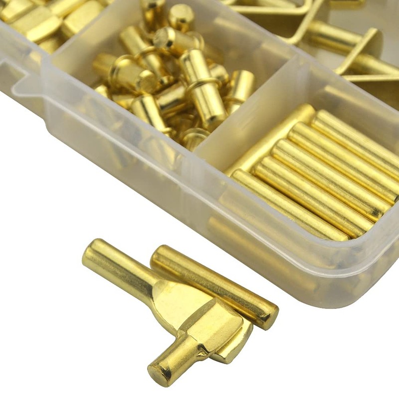 BGTXINGI 120pcs Shelf Pins Kit Nickel-Plated 4 Styles Shelf Support