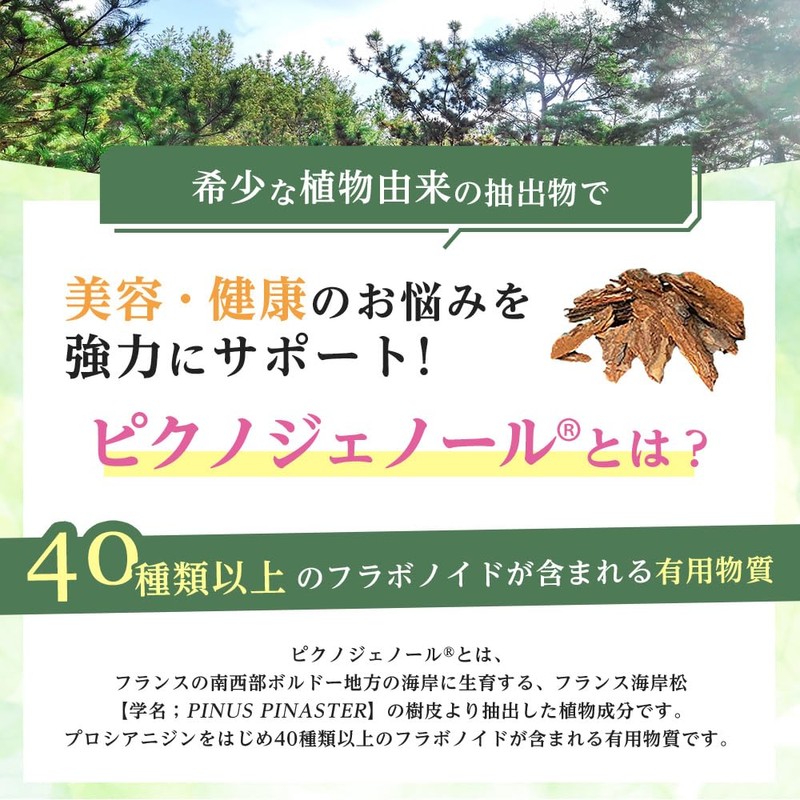 Fine Pinnogenol Prime French Coast Pine Bark Extract, Fine-Aging Care