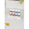 Smell Training Set- Essential Oil Gift Set- Rose, Clove, Eucalyptus,