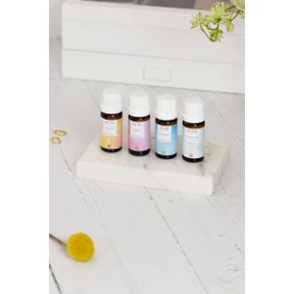 Smell Training Set- Essential Oil Gift Set- Rose, Clove, Eucalyptus, Lemon- 4 x 10ml Pure Essential Oils- Charity Donation- Olfactory Training
