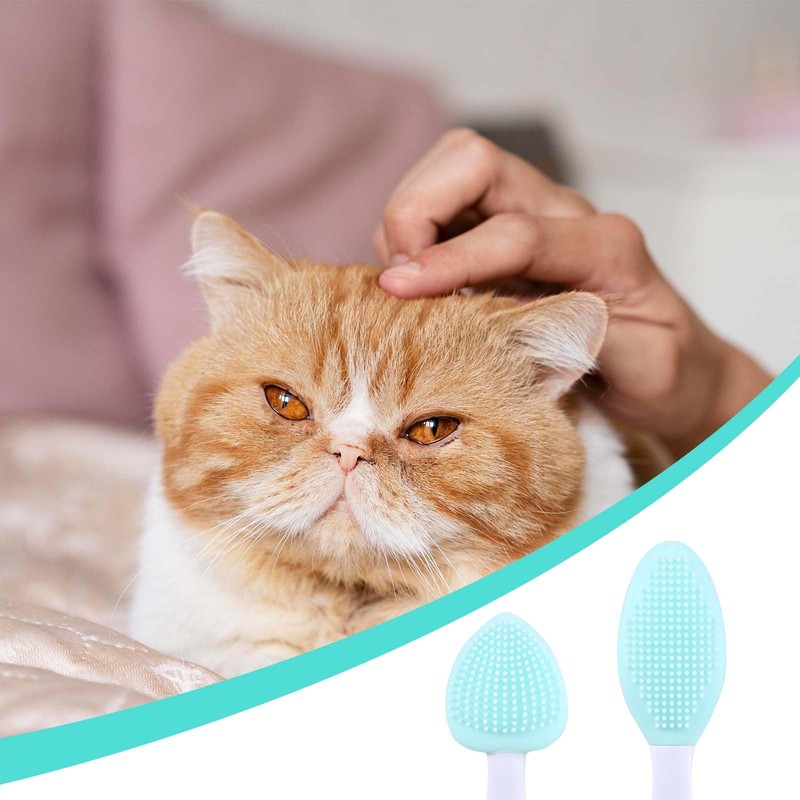 JJUNW 4Pcs Cat Acne Brush Set, Chin Treatment, Black Seed