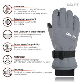 DEX FIT Coldproof Warm Winter Gloves WG201, Waterproof, Double Thermal Protection for Cold Weather & Outdoor Work, PU Leather Firm Grip, Touchscreen Compatible, Washable; Grey 10 (XL) 1 Pair