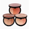 Too Cool for School By Rodin Blusher Expert 8.7g Blusher de Ginger Expert GrspBVC / 투쿨포스쿨 바이로댕 블러셔 엑스퍼트 8.7g  블러셔 드 진저 엑스퍼트GrspBVC