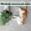 NOYATECH Couch Cleaner and Stain Remover Spray – Professional Strength,