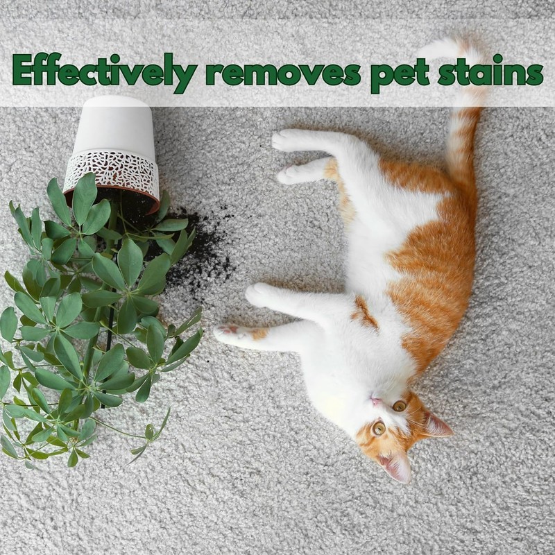 NOYATECH Couch Cleaner and Stain Remover Spray – Professional Strength,