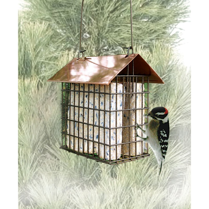 Woodlink DCOPSUET Coppertop Double Suet Cage Feeder