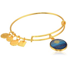 Alex and Ani Women's Charity by Design Simplify Bangle Gold-Tone One Size