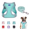 BTDCFY Step in Mesh Dog Harness and Leash Set Breathable