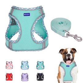 BTDCFY Step in Mesh Dog Harness and Leash Set Breathable Air Mesh Harness
