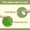 Aloe Vera Fertilizer for All Aloe and Succulent Plants, Liquid