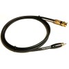 AudioQuest Silver Extreme Digital Coax Cable - RCA to BNC