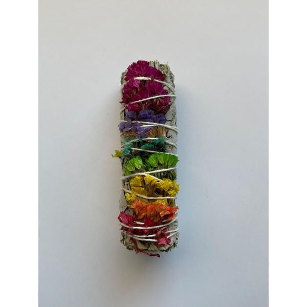 Third Eye Sage 25 Piece 7 Chakras Rainbow White Sage
