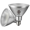 EdisonPar Full-Glass PAR38 LED Flood Light Bulbs Outdoor/Indoor Equivalent 350