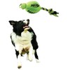 Nerf Dog Football Fling Slinger, Green/Black