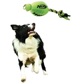 Nerf Dog Football Fling Slinger, Green/Black