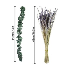 110 Pcs Dried Preserved Eucalyptus Stems & Lavender Flowers Bundles for Shower,17'' Natural Real Live Eucalyptus Leaves Hanging Lavender Shower Plant, Shower Plants Natural Fragrance Home Decor (110)