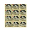 Magnolia - Case of 12 Boxes, 10 Cones Each -
