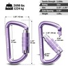 FresKaro 3inch Auto Locking Carabiner Clips, Solid D Shape Style,