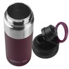 Asobu BPA Free Alpine 18oz Bottle Stainless Steel Water Bottle