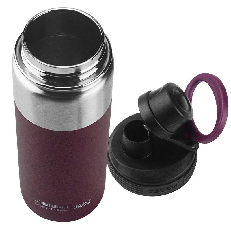 Asobu BPA Free Alpine 18oz Bottle Stainless Steel Water Bottle