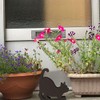 Cat Shape Mosquito Coil Rack Mosquito Repellent Coils Incense Iron