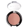Rubor Profesional Bissú Tono Del Maquillaje 23 - Peonia