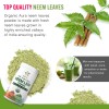 Organic Aura Polvo De Hoja De Neem Puro Orgánico 16oz