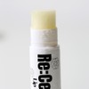 Lip Vitalizer 4.8g / 립 바이탈라이저 4.8g