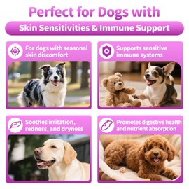 POPPAW Dog Allergy Relief Chews, Itch Relief for Dogs – Turmeric & Omega-3 Supplements for Skin Comfort, Coat Health & Seasonal Support, Immune Care with Biotin & Quercetin – Beef Flavor, 90 Count