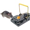 Easy Set Snap Rat & Mouse Traps with Bait Cups,