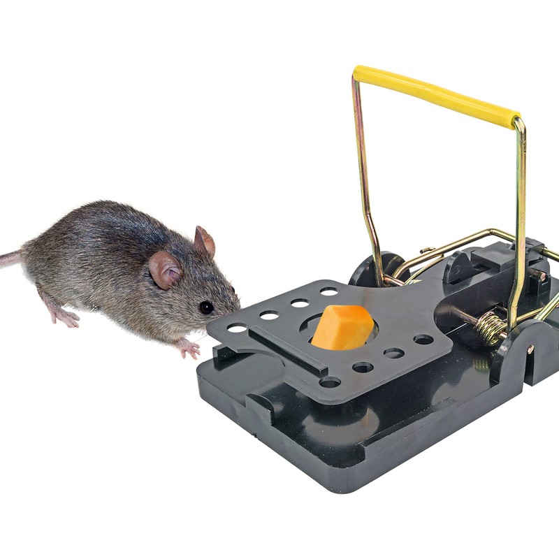 Easy Set Snap Rat & Mouse Traps with Bait Cups,