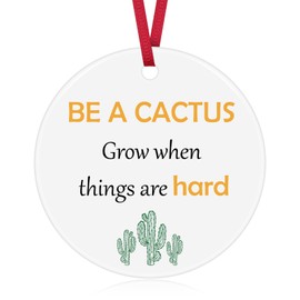 Cactus Decor Christmas Ornament Cactus Encouragement Gift for Women Men Cactus Ceramic Ornament Cactus Lover Gift Cactus Theme Ornament Motivational Gift for Daughter Son Graduation Birthday Gift