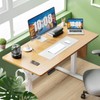 Zibbizo Electric Height Adjustable Standing Desk, 48x24 Inches, Ergonomic Sit-to-Stand
