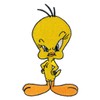 C&D Visionary Looney Tunes Sassy Tweety Patch, Yellow, Orenge