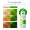 KC T SEMI-PERMANENT LIME LIGHT