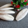 Unbranded 3.9Inch 30PC 10CM Long Cuttlebone Bone Sepia Fish Bird