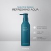 AYUNCHE Refreshing Shampoo for Oily Scalp, 11.8oz Purifying & Cool