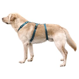 Kerbl Miami Panic Harness (Colour Petrol, Neck Circumference 48 - 64 cm, Chest Circumference 72 - 103 cm, Waist Circumference 52 - 84 cm, Harness) 80045