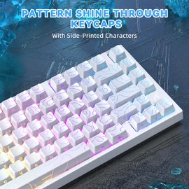ATTACK SHARK R82HE 75% Rapid Trigger Mechanical Gaming Keyboard Wired,Hall Effect Magnetic Switch,Adjustable Actuation Esports,8KHz Polling Rate,0.08ms Latency with C01 Ultra Lighting Cable (White)