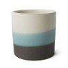 Leaf Ceramic Planters, Blue Stripe, 12cm