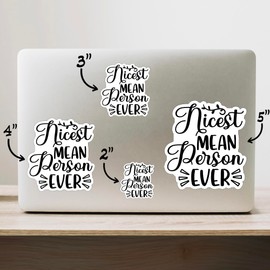 (3PCS) Nicest Mean Person Ever Style 5 Sticker for Phone Tablet Laptop Car Truck Window | 2" Sticker |