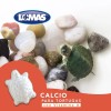 Calcio Para Tortugas De Agua Con Vitamina A Acuario Lomas